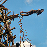 Thumbnail Photo for the Land Jumping Gallery.